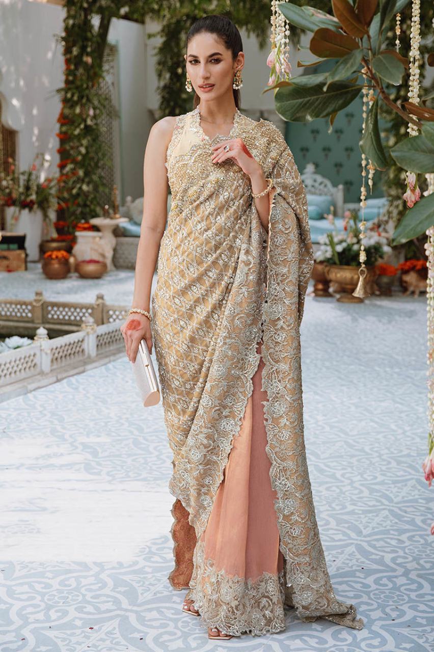 Fully covered sarees on Pinterest