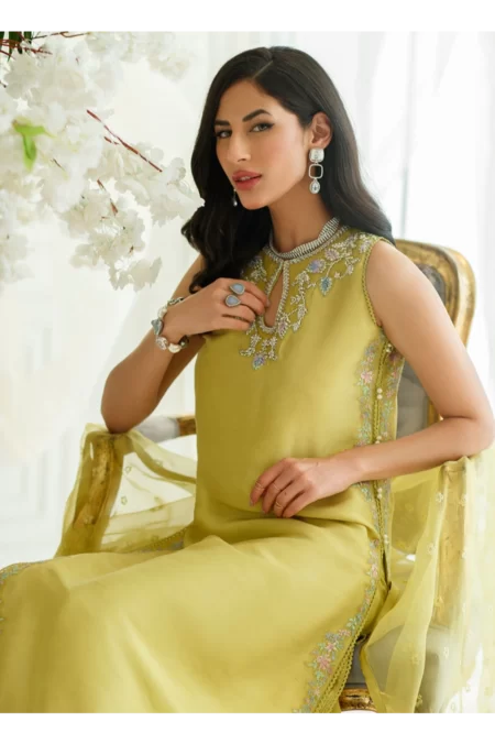 Vert Shirt And Dupatta - Image 3