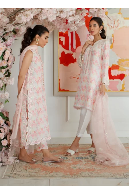 Ikat Mia Shirt And Dupatta - Image 4