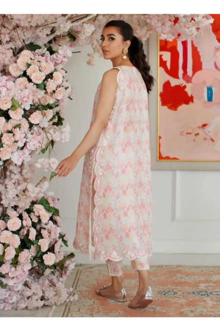 Ikat Emma Shirt And Dupatta - Image 4