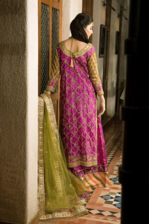 Hot Pink Gotta Work Block Print Shirt With Chattapati Farshi Garara & Green Gold Work Net Dupatta | SHK-840