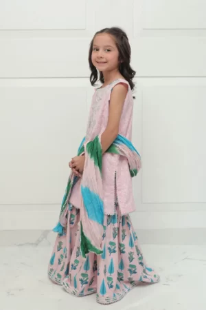 Pink chikan shirt with silver embellishment paired with block printed gharara and shaded dupatta – SHKK-979
