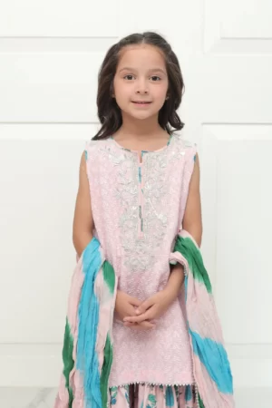 Pink chikan shirt with silver embellishment paired with block printed gharara and shaded dupatta – SHKK-979