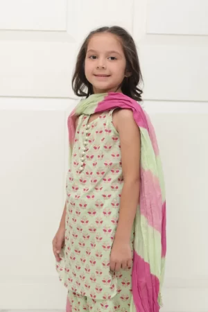 Sea green block printed shirt with matching shalwar – SHKK 980
