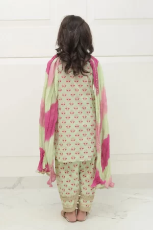 Sea green block printed shirt with matching shalwar – SHKK 980