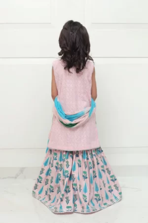 Pink chikan shirt with silver embellishment paired with block printed gharara and shaded dupatta – SHKK-979