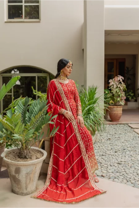 Amal - Image 7