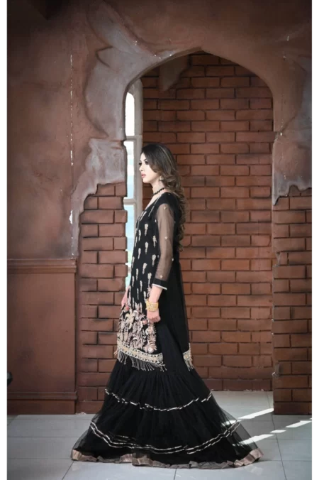 Dilkash - Image 4