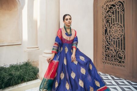 Peacock Gown - Image 4