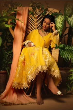 Nargis