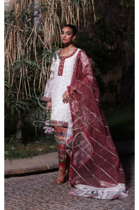 Boxy tunic with printed shalwar and dupatta - Image 2