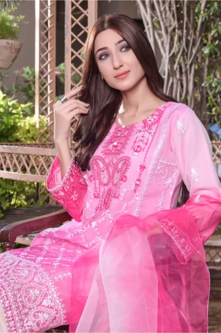 Trendy Fashionable Embroidered Organza - Image 3