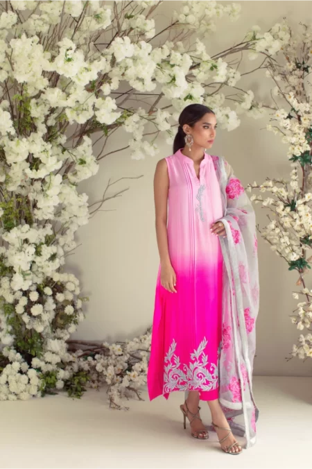 Hot pink shaded shirt with grey detailing paired with hot pink capri & grey organza dupatta – SHK-968