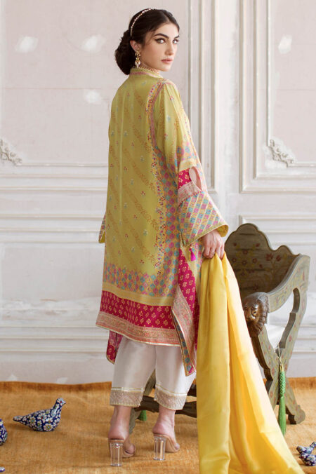 Mila Crepe Tunic and Silk Dupatta - Image 2