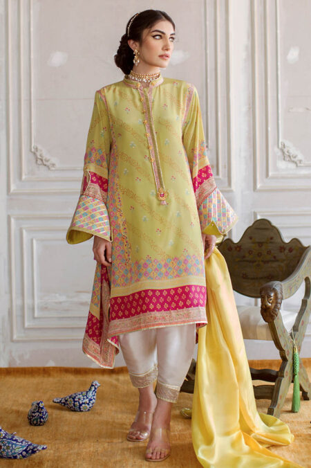 Mila Crepe Tunic and Silk Dupatta - Image 4