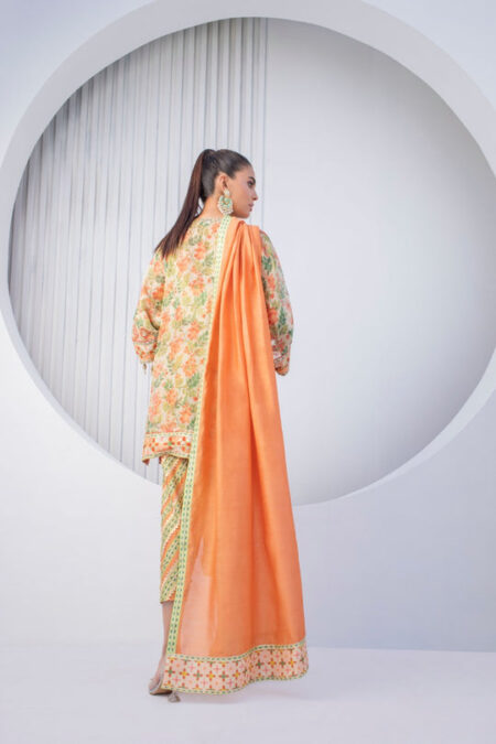 Tangerine Cotton Net Kurta and Dupatta - Image 3