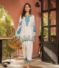 Best Pakistani Fashion Designers - SHK-1132