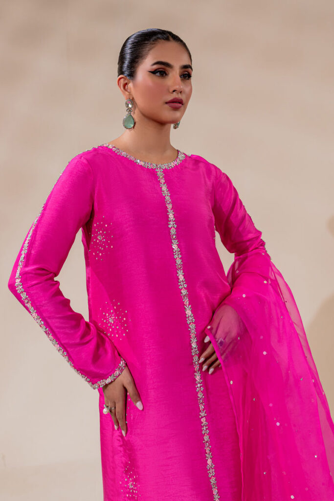 Alaia - Image 4