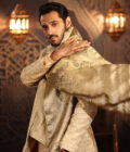 Sitara Shawl - Image 2
