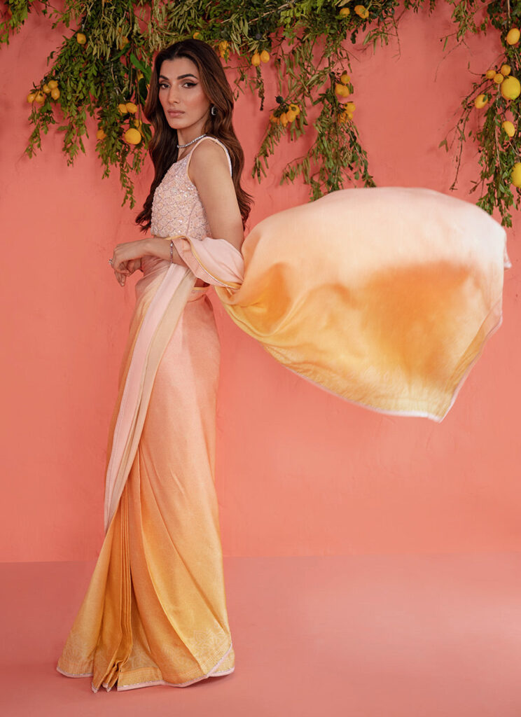 Rumi Charmeuse Saree - Image 2