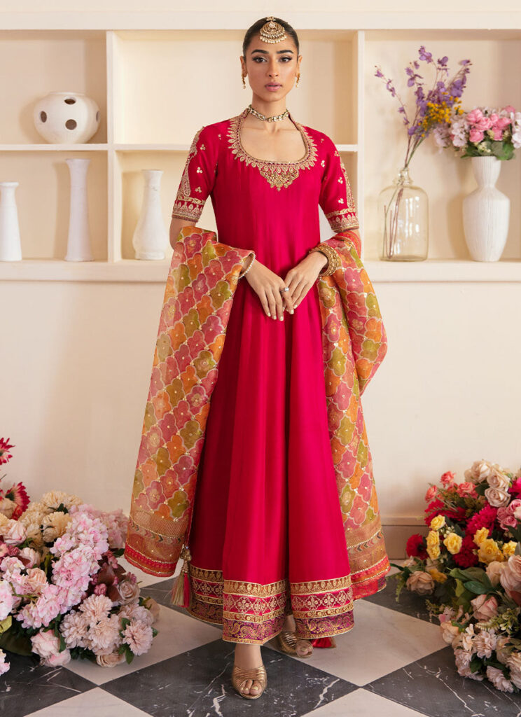 Sitya kalidaar and dupatta - Image 5