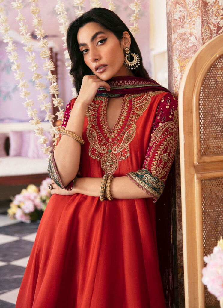 Sherina kalidaar and dupatta - Image 7