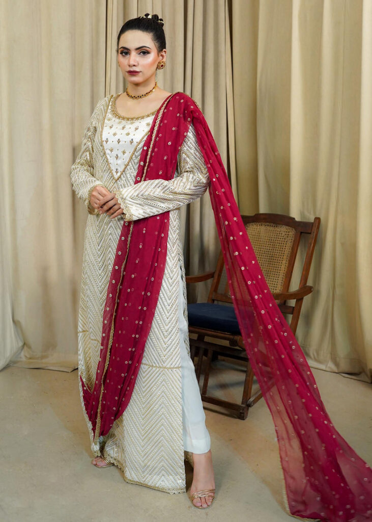 Saree Dress Maroon