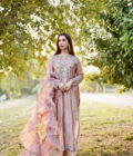 Champaign Pink - Image 4