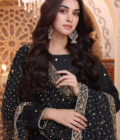 Dilnasheen - Image 3