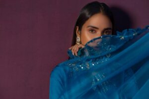 Ferozi Silk