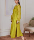 Faustine Kiwi Embroidered Raw Silk Shirt - Image 6