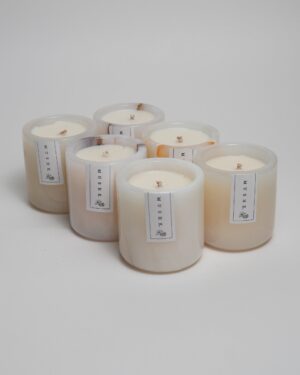 The Floral Giftbox | Jasmine Citrus | Pack of 6