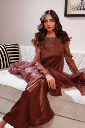Brown Hand Embroidered 3 Piece Dress