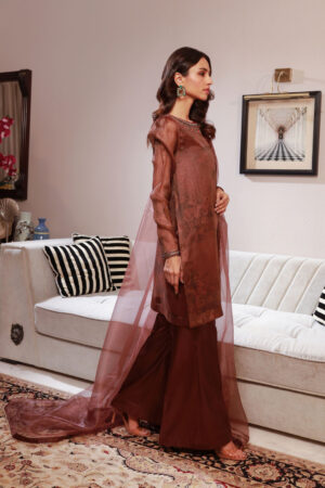 Brown Hand Embroidered 3 Piece Dress