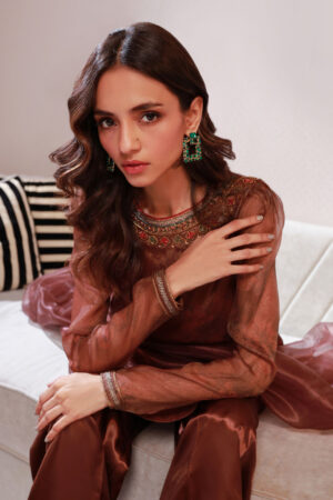 Brown Hand Embroidered 3 Piece Dress
