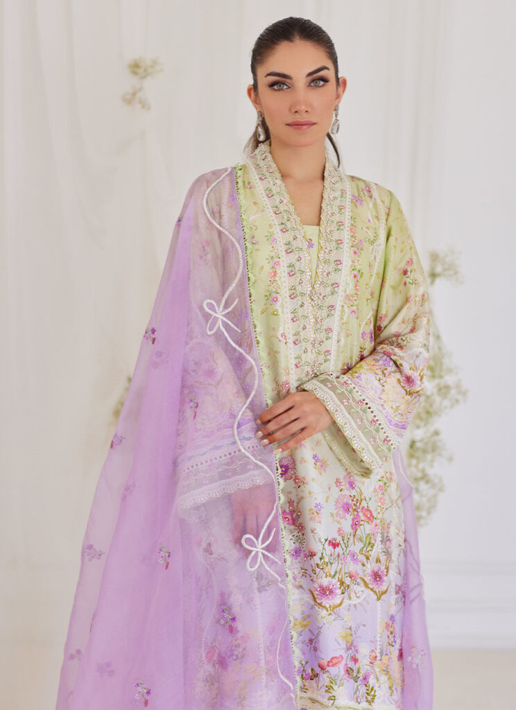 Renata Shirt And Dupatta - Image 5