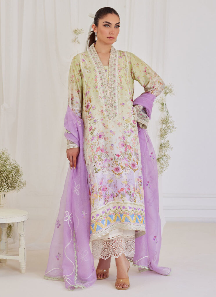 Renata Shirt And Dupatta - Image 3