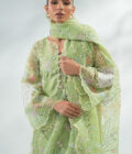 Shal - Image 4