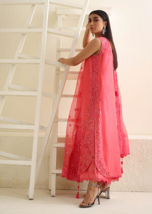 Tropical Pink
