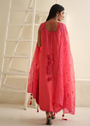 Tropical Pink