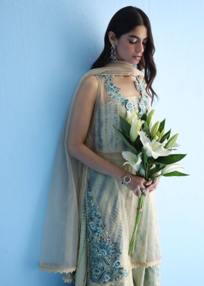 Queen Peacock - Image 7