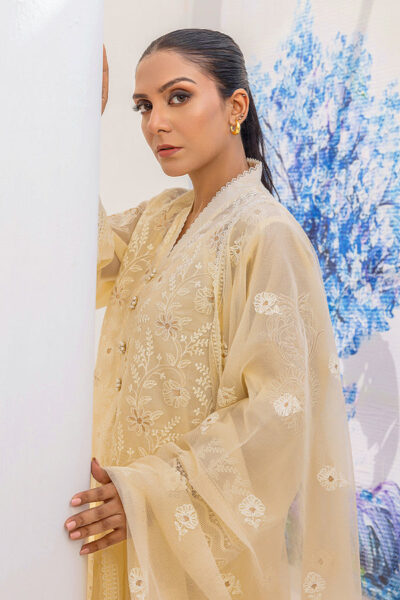Eid 6 - Image 4