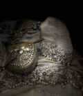 Silver Mini Treasure - Image 2