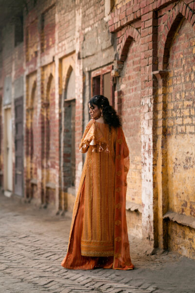 Shamma - Image 4