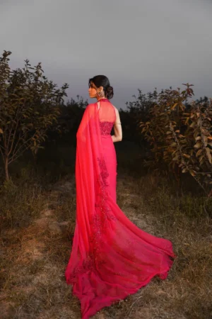 Radiant Rebel (Saree)