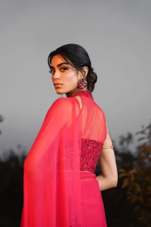 Radiant Rebel (Saree)
