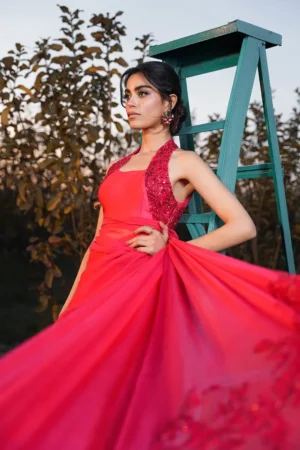 Radiant Rebel (Saree)