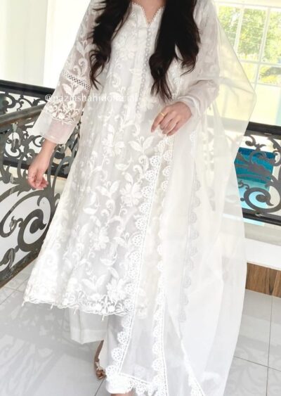 Mehar Embroidered Chiffon Set