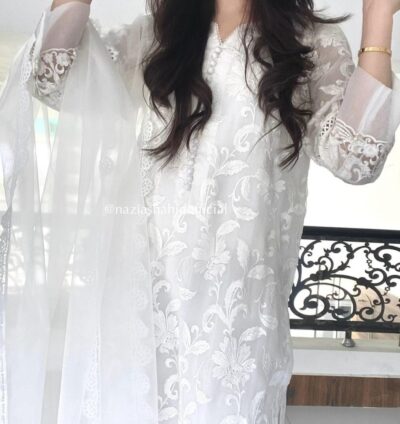 Mehar Embroidered Chiffon Set - Image 4