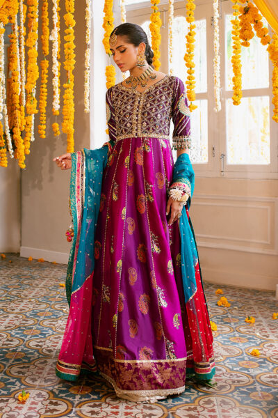 Shehzana Kalidar - Image 9